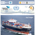 China Seefracht-Dienstleistungen von Shanghai / Guangzhou / Shenzhen / Ningbo / Xiamen nach Belgien